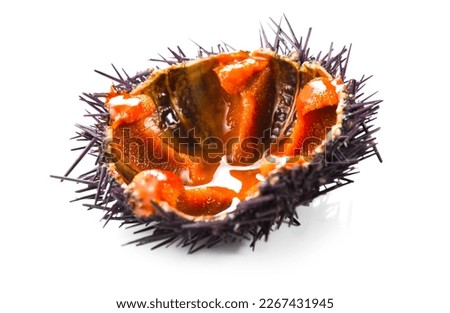 Sea Urchin with caviar close-up, isolated on white background. One fresh sea urchin delicatessen food. Traditional Mediterranean food. Roe. Sea food Royalty-Free Stock Photo #2267431945