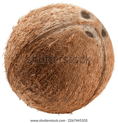 coconut, isolated on white background, clipping path, full depth of field