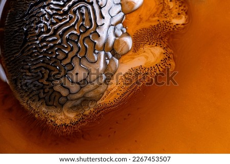 Close-up of beautiful abstract patterns created with ferromagnetic liquid and other chemical agents. Royalty-Free Stock Photo #2267453507