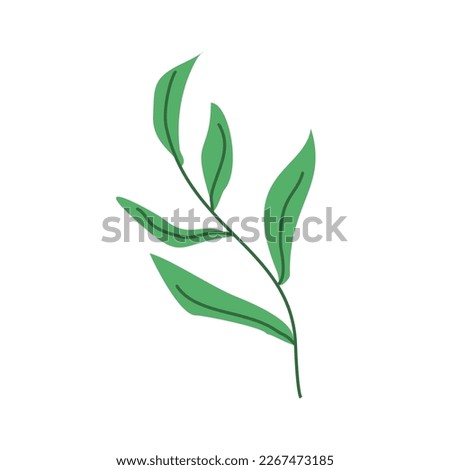 Green Leaf Illustration. Suitable for your collection of green leaves