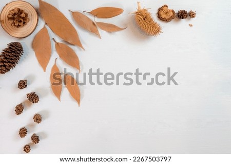 Autumn composition. Dried leaves, flowers, berries on blue background. Autumn, fall, thanksgiving day concept. Flat lay, top view, copy space