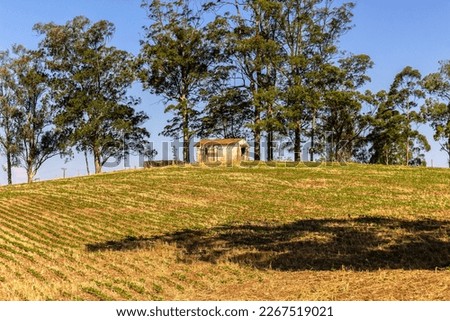 old barn on rural property with plantation in front of Brazil