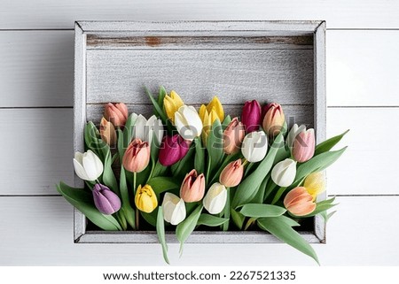 Flowers creative composition. Pink orange tulips and leaves isolated. Flat lay, top view, copy space. mother woman day	
