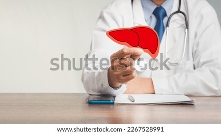 A doctor's holding a liver shape symbol while sitting at the table in the hospital. Close-up photo. Medical and healthcare concept