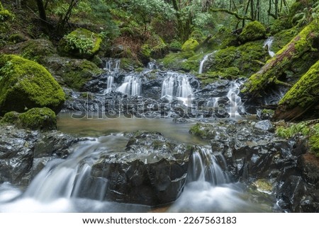 Cascade waterfalls at Cataract Falls. Mount Tamalpais State Park, Marin County, California, USA. Royalty-Free Stock Photo #2267563183