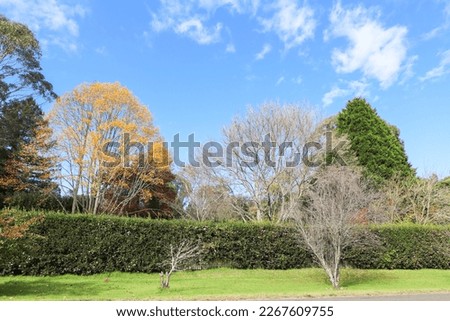 Autumn country landscape, nature photography, Southern Highlands New South Wales Australia