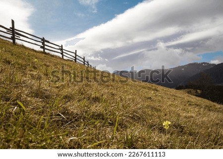Wooden fence on grassy slope landscape photo. Nature scenery photography with forest mountains on background. Ambient light. High quality picture for wallpaper, travel blog, magazine, article