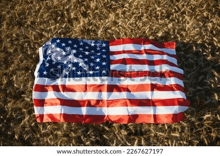 USA American flag spreaded on the golden wheat field