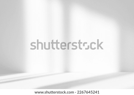 Abstract white studio background for product presentation. Empty room with shadows of window. Display product with blurred backdrop.