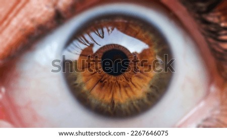 
macro shot brown human eye Royalty-Free Stock Photo #2267646075