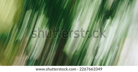 Abstract Nature Blurred dynamic motion lines defocused light bright dark green yellow tropical leaves Wallpaper screensaver design background