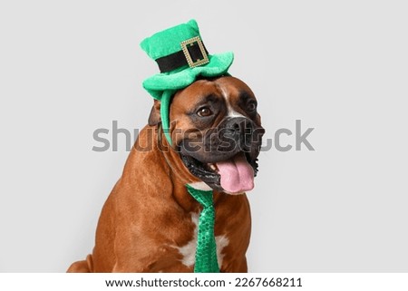 Boxer dog with Leprechaun hat and necktie on light background, closeup