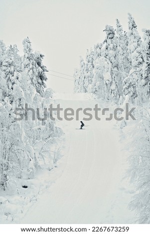 Ski slope and one skier pictured from below. Slope is surrounded by forest, woods or trees, both coniferous trees and deciduous trees. Lift wire in the background, winter day in Lapland, Finland