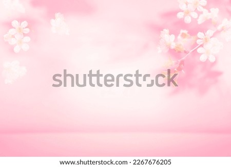 Spring summer blurred light pink background with shadow of the tree leaves and flowers on a wall. Abstract Spring Summer scene for product presentation.