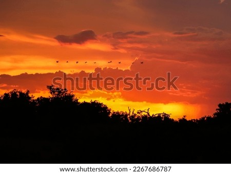 A beautiful sunset in the Kalahari 