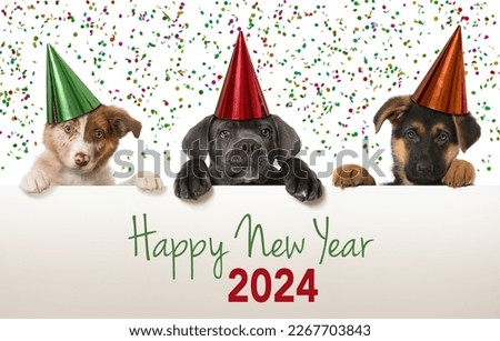 Happy New Year Puppies looks over a wall Royalty-Free Stock Photo #2267703843