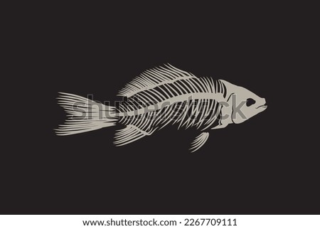 fishbone vector illustrations, fossil of the ancient fish
