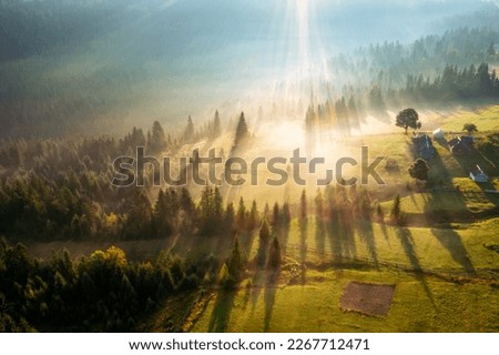 Spectacular misty landscape with sunbeams breaking through the trees. Bird's eye view. Location place Carpathian mountains, Ukraine, Europe. Aerial photography. Discover the beauty of earth. Royalty-Free Stock Photo #2267712471