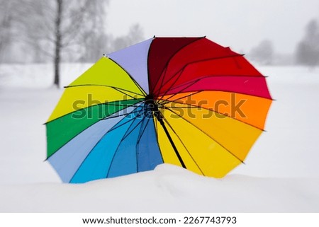 Colorful umbrella in winter on the snow. lgbt umbrella on snow alone