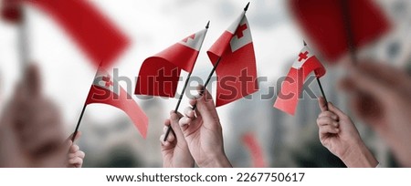 A group of people holding small flags of the Tonga in their hands.