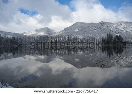Overcast and Foggy day - Almsee Upperaustria