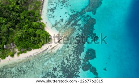 aerial drone view of a tropical island with some palms and resident's houses in EL NIDO region in philippines. travel concept