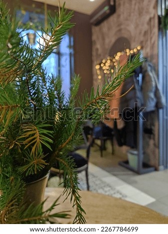 New Year background photos with Christmas trees, snow and gifts