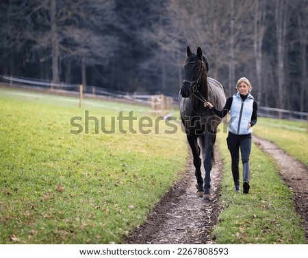 Young woman brings her horse on the bridle from the pasture to the stable, horse and woman on the right in the picture on the left space for text.
