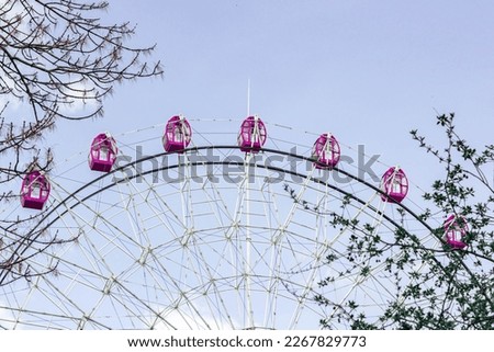 Ferris wheel behind the branches against the blue sky. Entertainment all year round.