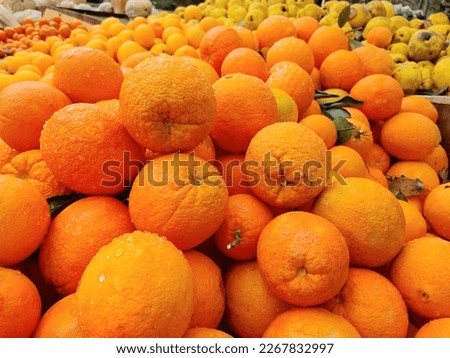 Big oranges after the rain.