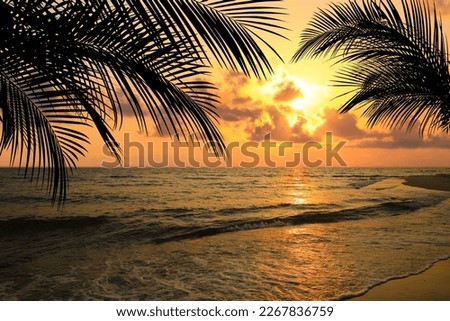 Picturesque view of tropical beach with palm trees at sunset