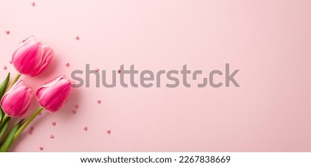 8 march celebration concept. Top view photo of spring flowers tulips and heart shaped sprinkles on isolated pastel pink background with copyspace Royalty-Free Stock Photo #2267838669