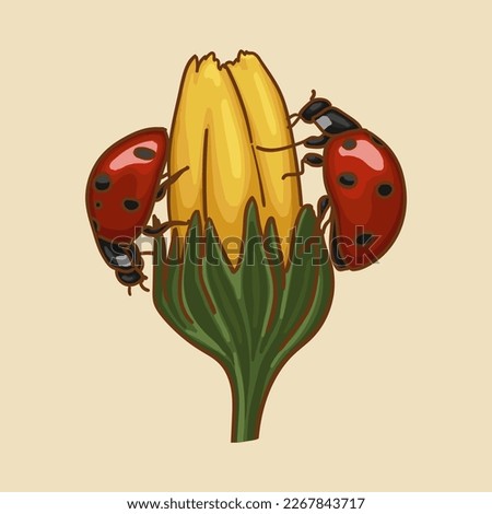 A ladybug sits on a flower