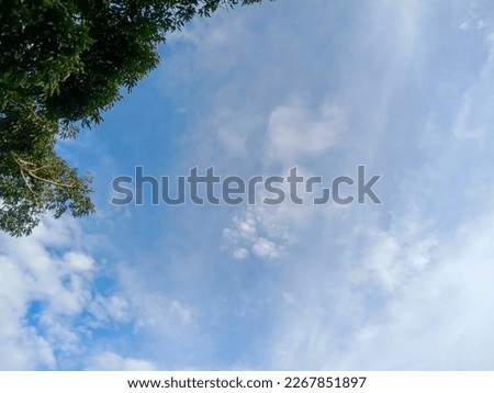 blue sky, Beautiful clouds and green tree leaves.bottom up view photo.