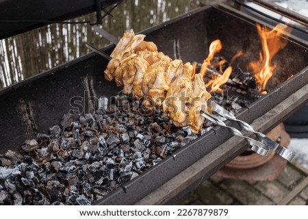 Shish kebab from different types of meat on skewers is fried on fire and coals in the grill