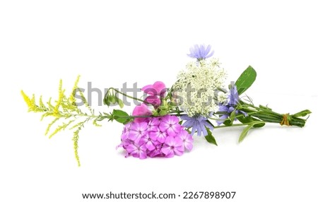 A wild flower bouquet gift Royalty-Free Stock Photo #2267898907