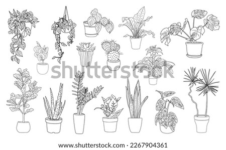 Set of Houseplants outline drawings. Indoor exotic flowers in pots line art. Dracaena, ficus, cacti, snake plant for home interior plans, design. Vector illustrations isolated on white background.