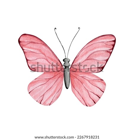 Watercolor cute pink butterfly illustration clip art. Beautiful spring illustration with pink insects butterflies. High hand drawn animal quality illustration