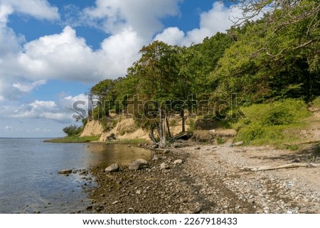 steep shore of Lietzow (Rügen, Germany) on a sunny summer day in front of vivid blue sky with white clouds