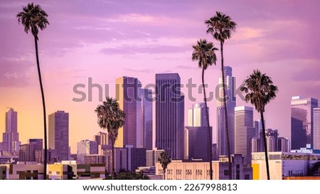 the skyline of los angeles during sunset Royalty-Free Stock Photo #2267998813