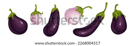 Ripe eggplant vegetables set. Vector graphics. Royalty-Free Stock Photo #2268004517