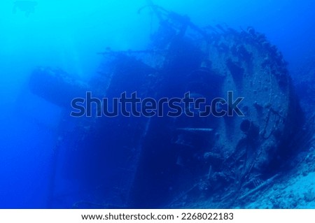 under water wide angle photos Royalty-Free Stock Photo #2268022183