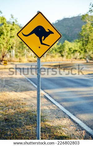 Warning road sign with kangaroo shape