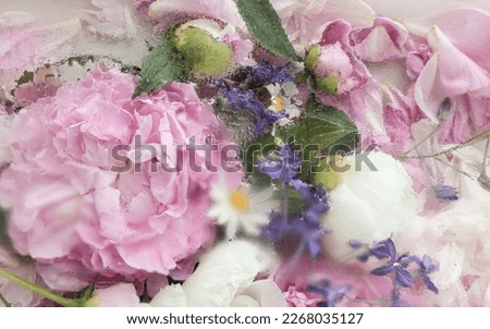 Flower of soft pink peony, chamomile, small blue flowers under glass close-up. A flower immersed in water and air drops on the petals. creative photo. Abstract background, women's day,background