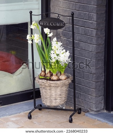 white daffodils in a wicker basket,pot on a stand in front of the entrance to the house , welcome sign