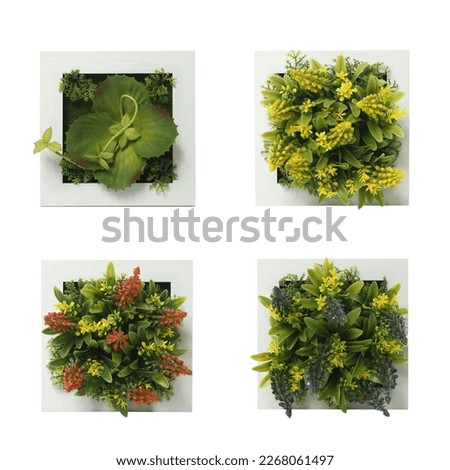 Artificial flowers for home, cafe wall decoration, transparent background, png