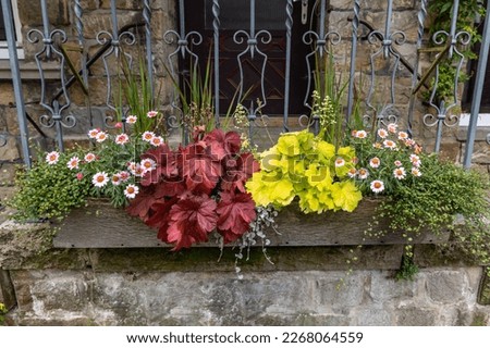 Decorative plants bloom in pots on the porch in front of the entrance to the house