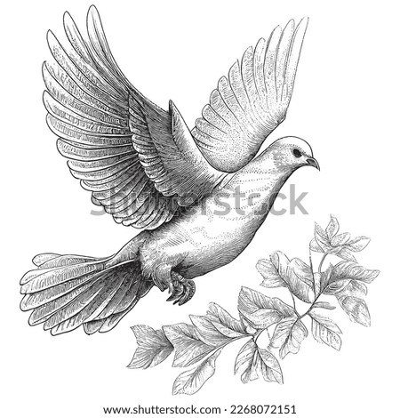 Hand Drawn Engraving Pen and Ink White Dove Flying Vintage Vector Illustration