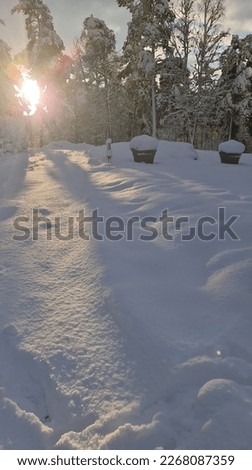 beautiful outdoor pictures of snow in winters 