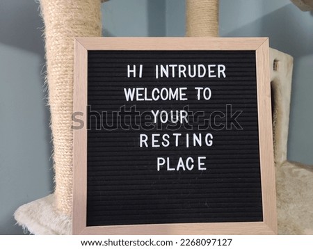 A sign saying hi intruder welcome to your resting place. The felt sign has removable letters than can be moved around to make whatever words or saying one wants. 